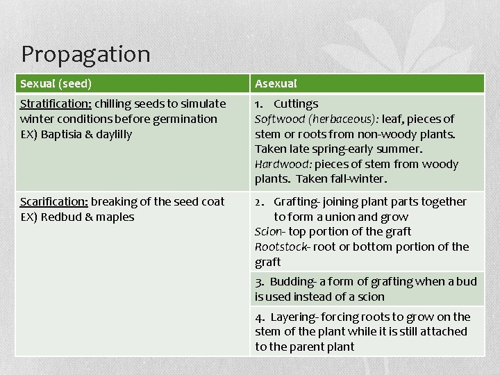 Propagation Sexual (seed) Asexual Stratification: chilling seeds to simulate winter conditions before germination EX)