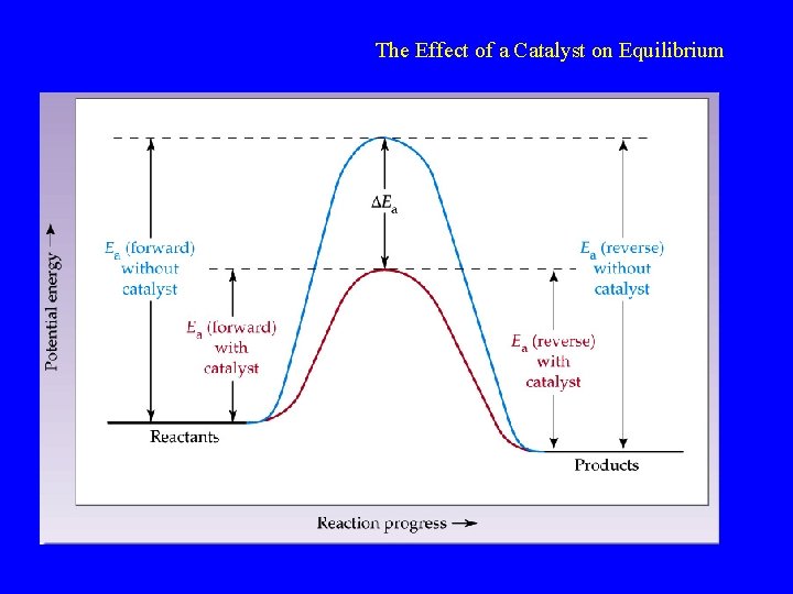 The Effect of a Catalyst on Equilibrium 