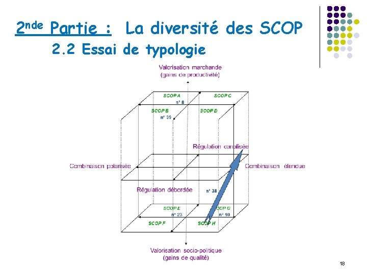 2 nde Partie : La diversité des SCOP 2. 2 Essai de typologie 18