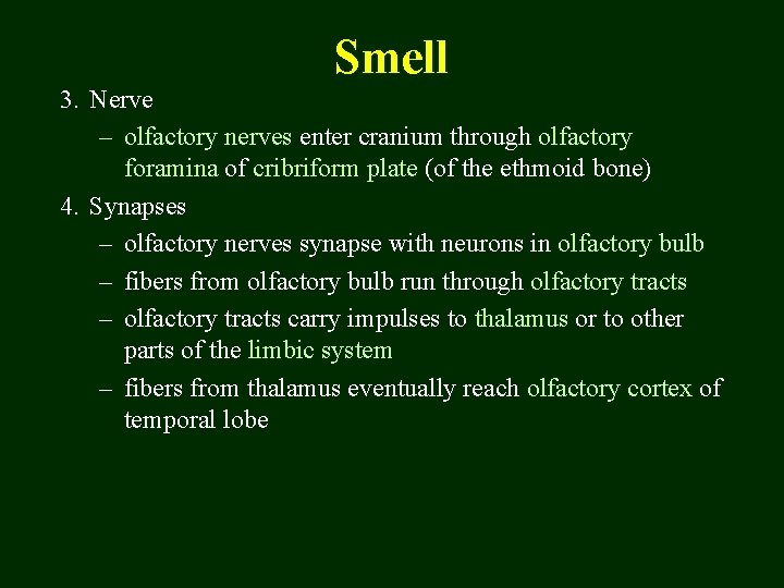Smell 3. Nerve – olfactory nerves enter cranium through olfactory foramina of cribriform plate