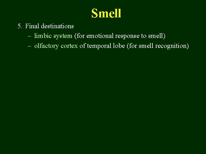 Smell 5. Final destinations – limbic system (for emotional response to smell) – olfactory