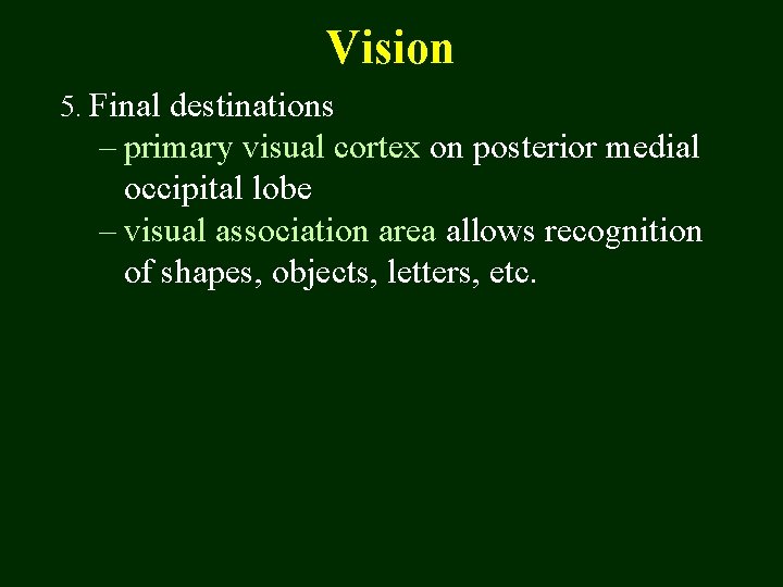 Vision 5. Final destinations – primary visual cortex on posterior medial occipital lobe –