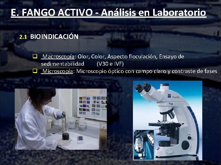 E. FANGO ACTIVO - Análisis en Laboratorio 2. 1 BIOINDICACIÓN q Macroscopía: Olor, Color,