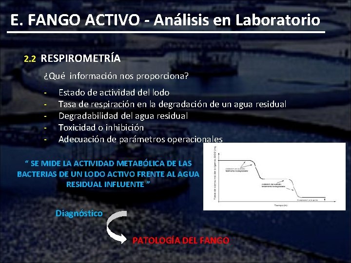 E. FANGO ACTIVO - Análisis en Laboratorio 2. 2 RESPIROMETRÍA ¿Qué información nos proporciona?