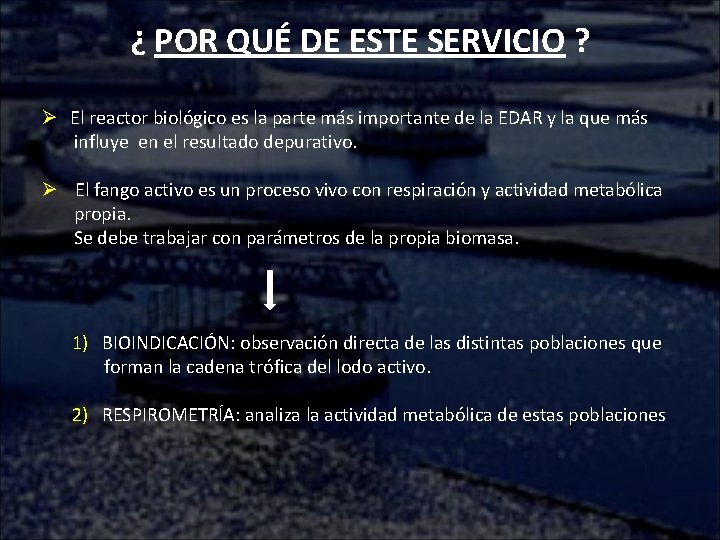 ¿ POR QUÉ DE ESTE SERVICIO ? Ø El reactor biológico es la parte