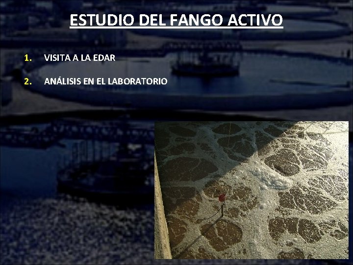 ESTUDIO DEL FANGO ACTIVO 1. VISITA A LA EDAR 2. ANÁLISIS EN EL LABORATORIO