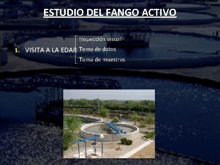 ESTUDIO DEL FANGO ACTIVO Inspección visual 1. VISITA A LA EDAR Toma de datos