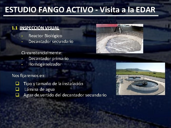 ESTUDIO FANGO ACTIVO - Visita a la EDAR 1. 1 INSPECCIÓN VISUAL - Reactor