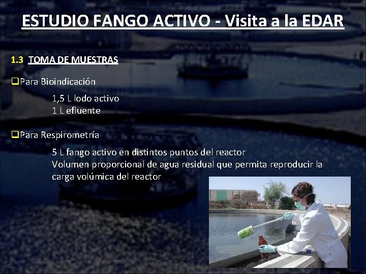 ESTUDIO FANGO ACTIVO - Visita a la EDAR 1. 3 TOMA DE MUESTRAS q.