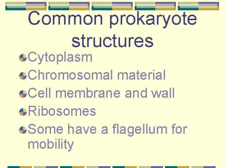 Common prokaryote structures Cytoplasm Chromosomal material Cell membrane and wall Ribosomes Some have a
