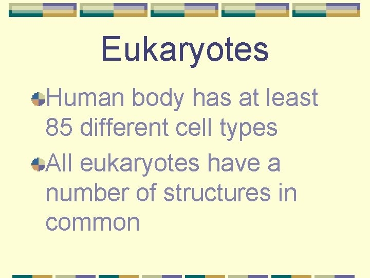 Eukaryotes Human body has at least 85 different cell types All eukaryotes have a