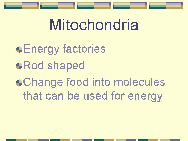 Mitochondria Energy factories Rod shaped Change food into molecules that can be used for