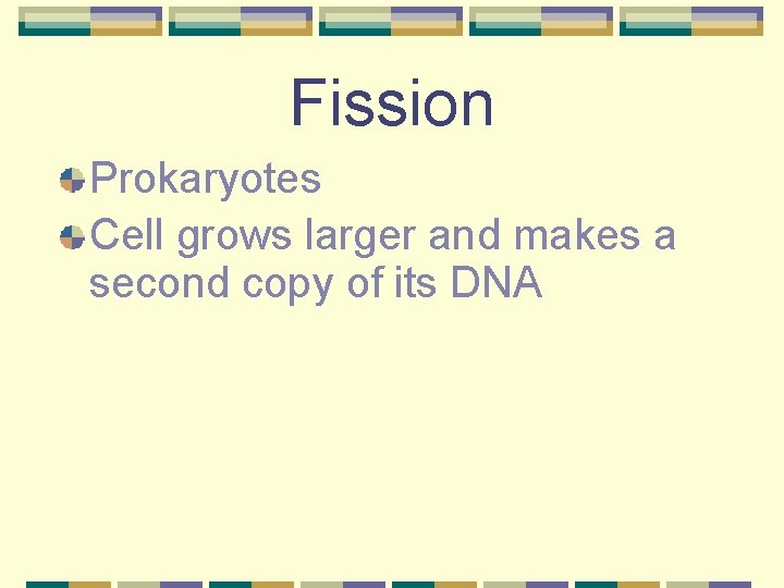 Fission Prokaryotes Cell grows larger and makes a second copy of its DNA 