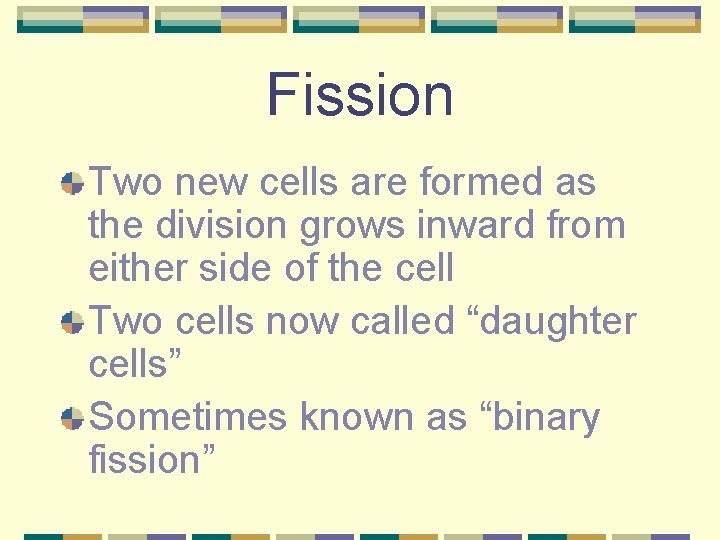 Fission Two new cells are formed as the division grows inward from either side