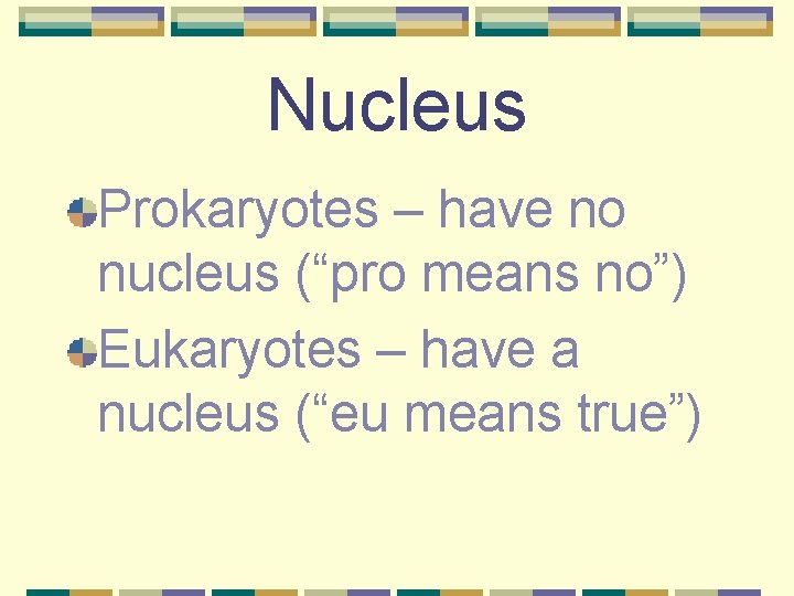 Nucleus Prokaryotes – have no nucleus (“pro means no”) Eukaryotes – have a nucleus