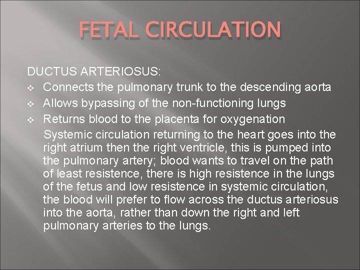 FETAL CIRCULATION DUCTUS ARTERIOSUS: v Connects the pulmonary trunk to the descending aorta v