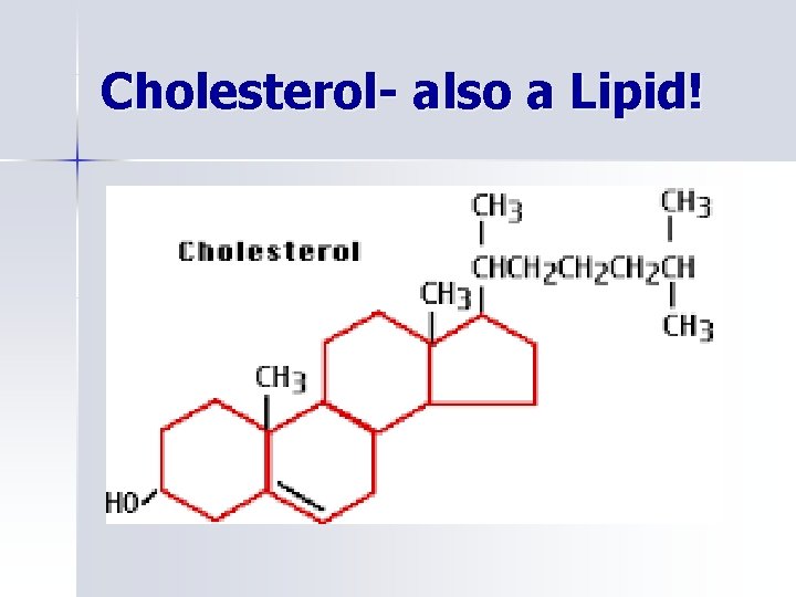 Cholesterol- also a Lipid! 