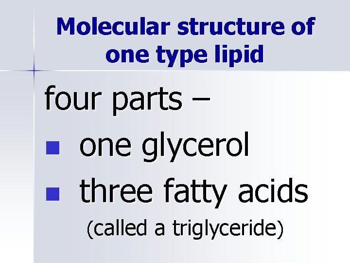 Molecular structure of one type lipid four parts – n one glycerol n three