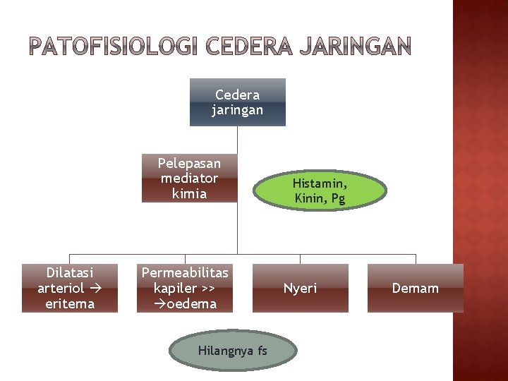 Cedera jaringan Pelepasan mediator kimia Dilatasi arteriol eritema Permeabilitas kapiler >> oedema Hilangnya fs