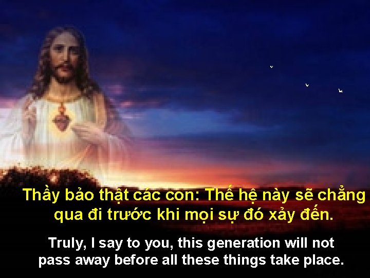 Thầy bảo thật các con: Thế hệ này sẽ chẳng qua đi trước khi