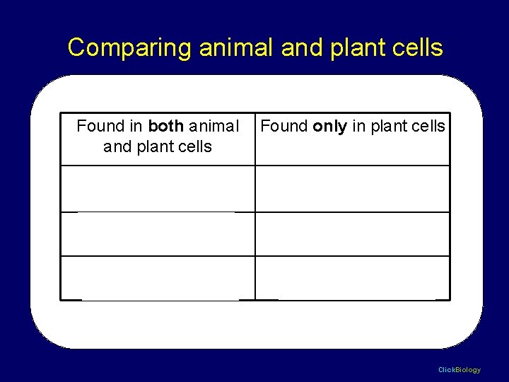Comparing animal and plant cells Found in both animal and plant cells Found only