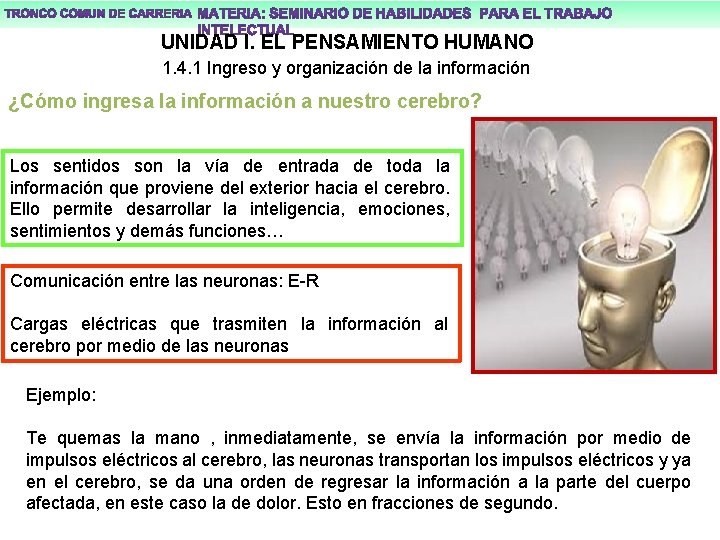 UNIDAD I. EL PENSAMIENTO HUMANO 1. 4. 1 Ingreso y organización de la información