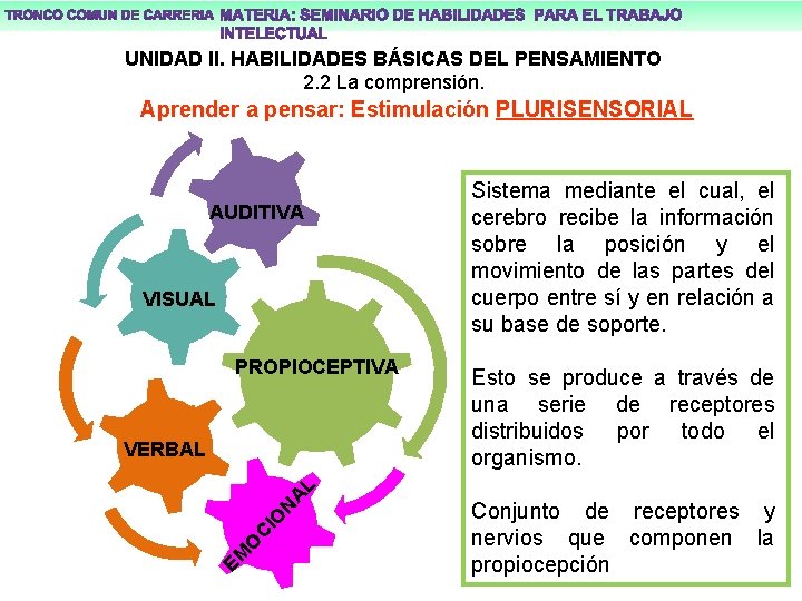 UNIDAD II. HABILIDADES BÁSICAS DEL PENSAMIENTO 2. 2 La comprensión. Aprender a pensar: Estimulación