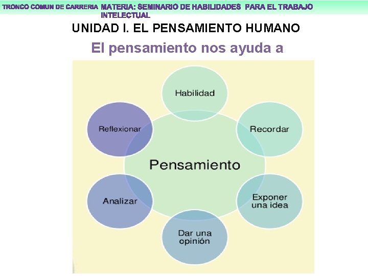 UNIDAD I. EL PENSAMIENTO HUMANO El pensamiento nos ayuda a 