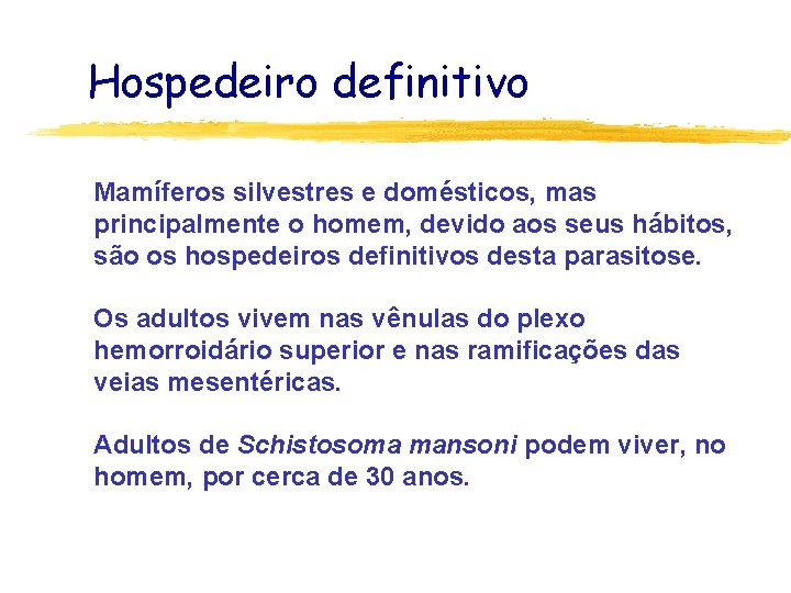 Hospedeiro definitivo Mamíferos silvestres e domésticos, mas principalmente o homem, devido aos seus hábitos,