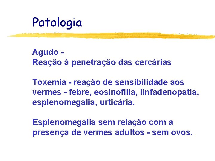 Patologia Agudo Reação à penetração das cercárias Toxemia - reação de sensibilidade aos vermes