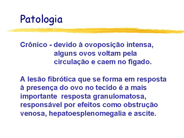 Patologia Crônico - devido à ovoposição intensa, alguns ovos voltam pela circulação e caem