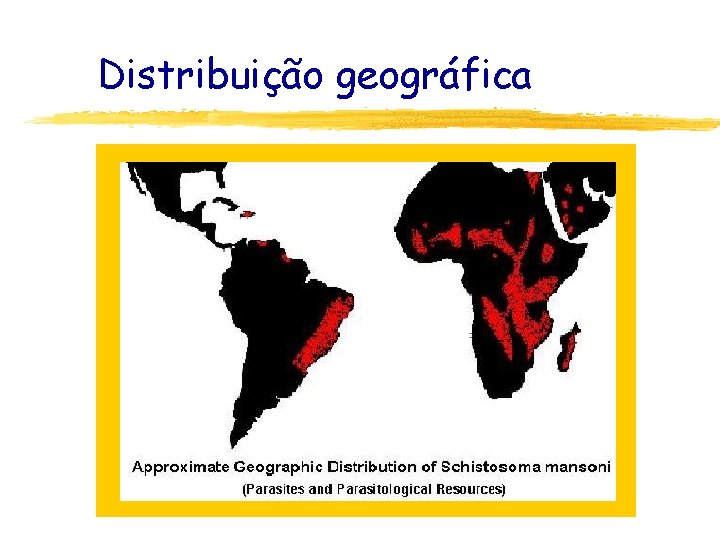 Distribuição geográfica 