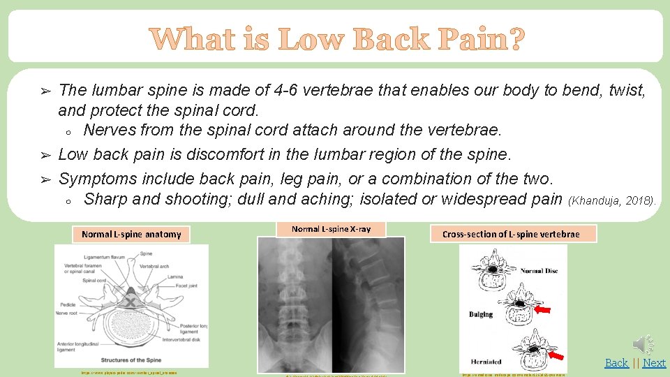What is Low Back Pain? ➢ ➢ ➢ The lumbar spine is made of
