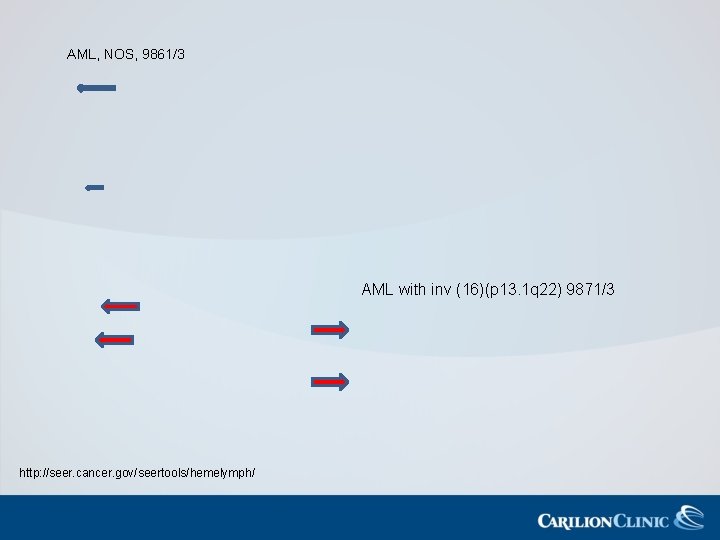 AML, NOS, 9861/3 AML with inv (16)(p 13. 1 q 22) 9871/3 http: //seer.