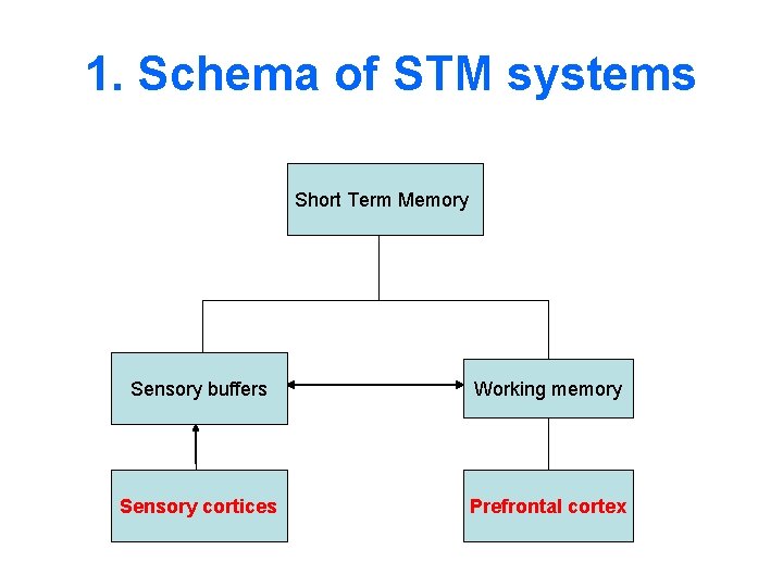 1. Schema of STM systems Short Term Memory Sensory buffers Working memory Sensory cortices
