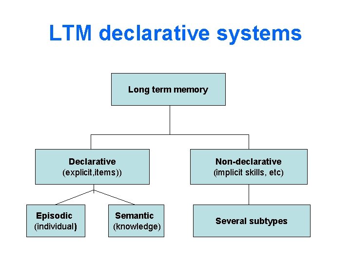 LTM declarative systems Long term memory Declarative (explicit, items)) Episodic (individual) Semantic (knowledge) Non-declarative