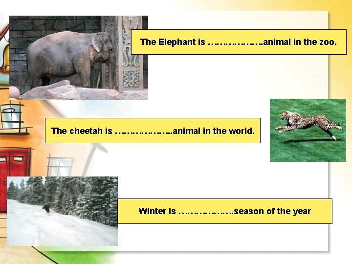 The Elephant is ………………. animal in the zoo. The cheetah is ………………. . animal