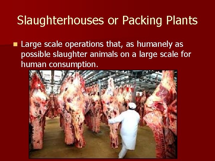 Slaughterhouses or Packing Plants n Large scale operations that, as humanely as possible slaughter