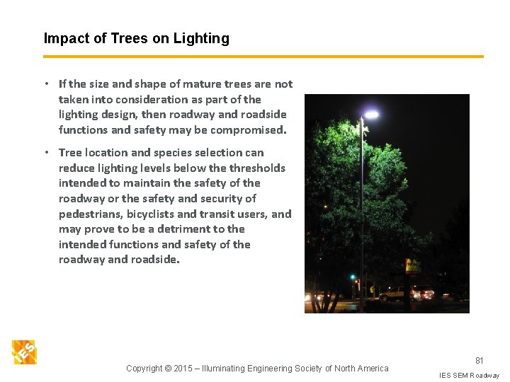 Impact of Trees on Lighting • If the size and shape of mature trees