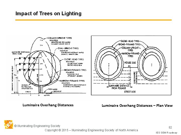 Impact of Trees on Lighting Luminaire Overhang Distances – Plan View © Illuminating Engineering