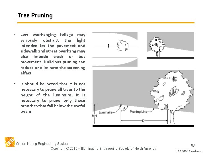 Tree Pruning • Low overhanging foliage may seriously obstruct the light intended for the