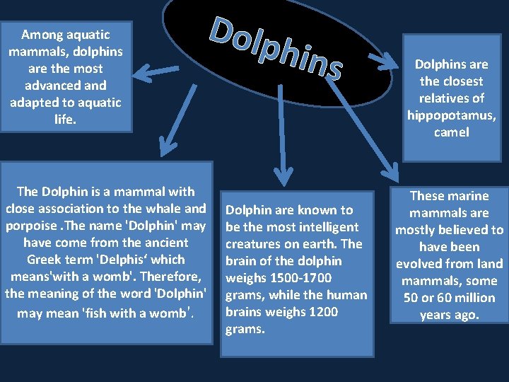 Among aquatic mammals, dolphins are the most advanced and adapted to aquatic life. Dolp