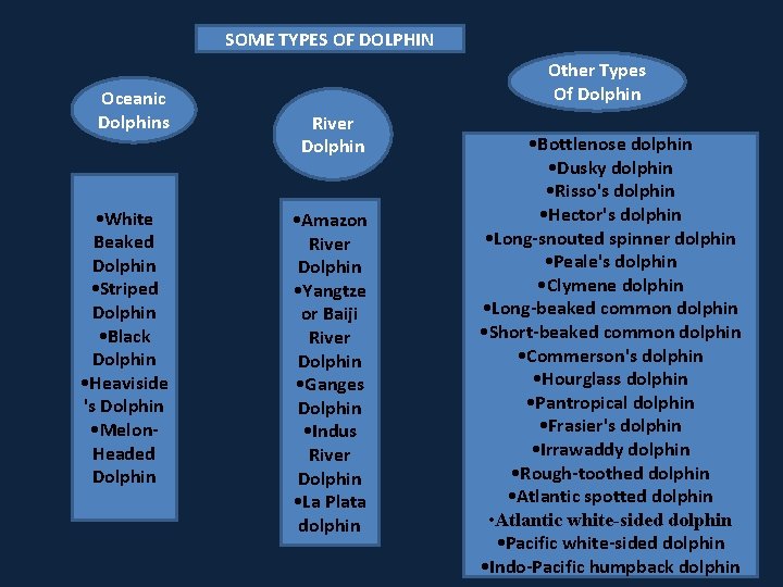 SOME TYPES OF DOLPHIN Oceanic Dolphins • White Beaked Dolphin • Striped Dolphin •