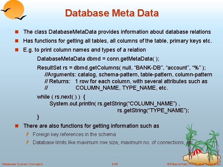 Database Meta Data n The class Database. Meta. Data provides information about database relations