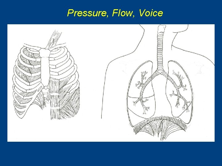 Pressure, Flow, Voice 