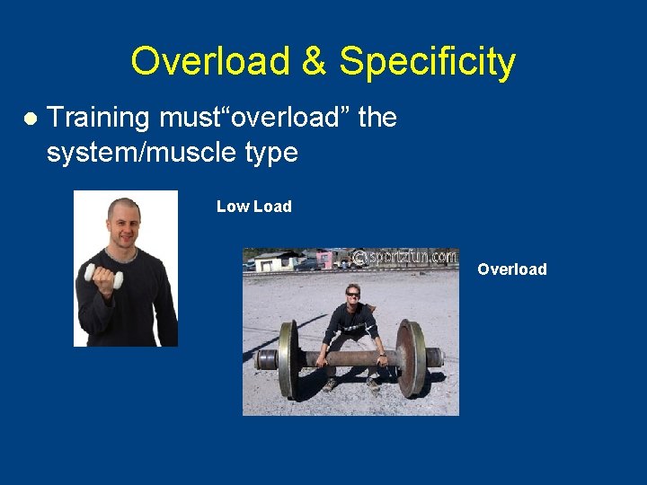 Overload & Specificity l Training must“overload” the system/muscle type Low Load Overload 