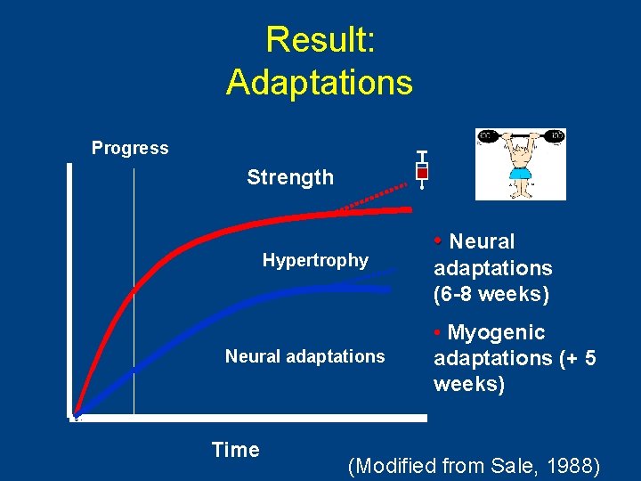 Result: Adaptations Progress Strength Hypertrophy Neural adaptations Time • Neural adaptations (6 -8 weeks)