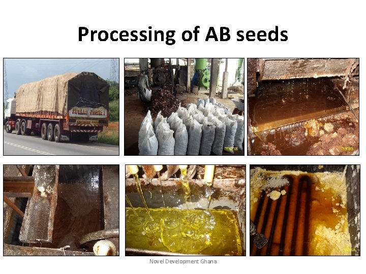 Processing of AB seeds Novel Development Ghana 