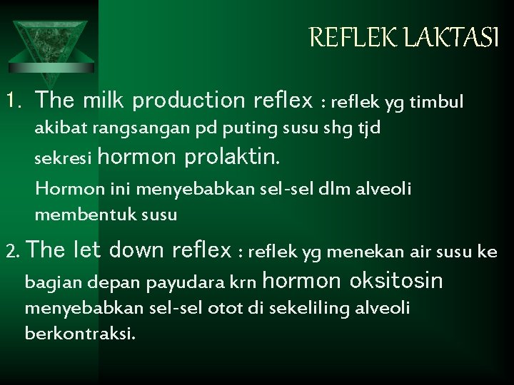 REFLEK LAKTASI 1. The milk production reflex : reflek yg timbul akibat rangsangan pd