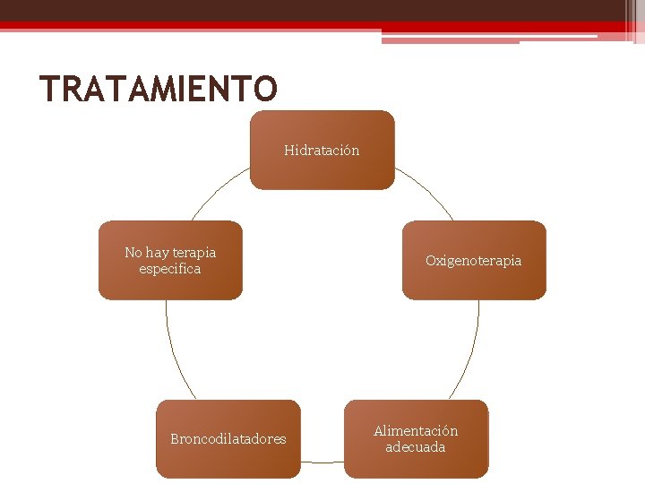TRATAMIENTO Hidratación No hay terapia especifica Broncodilatadores Oxigenoterapia Alimentación adecuada 